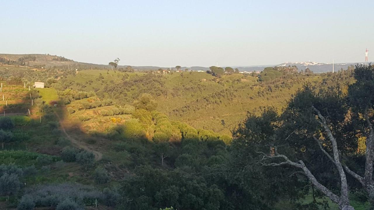 Quinta Do Caneiro - Casa Turismo Rural Constância Extérieur photo