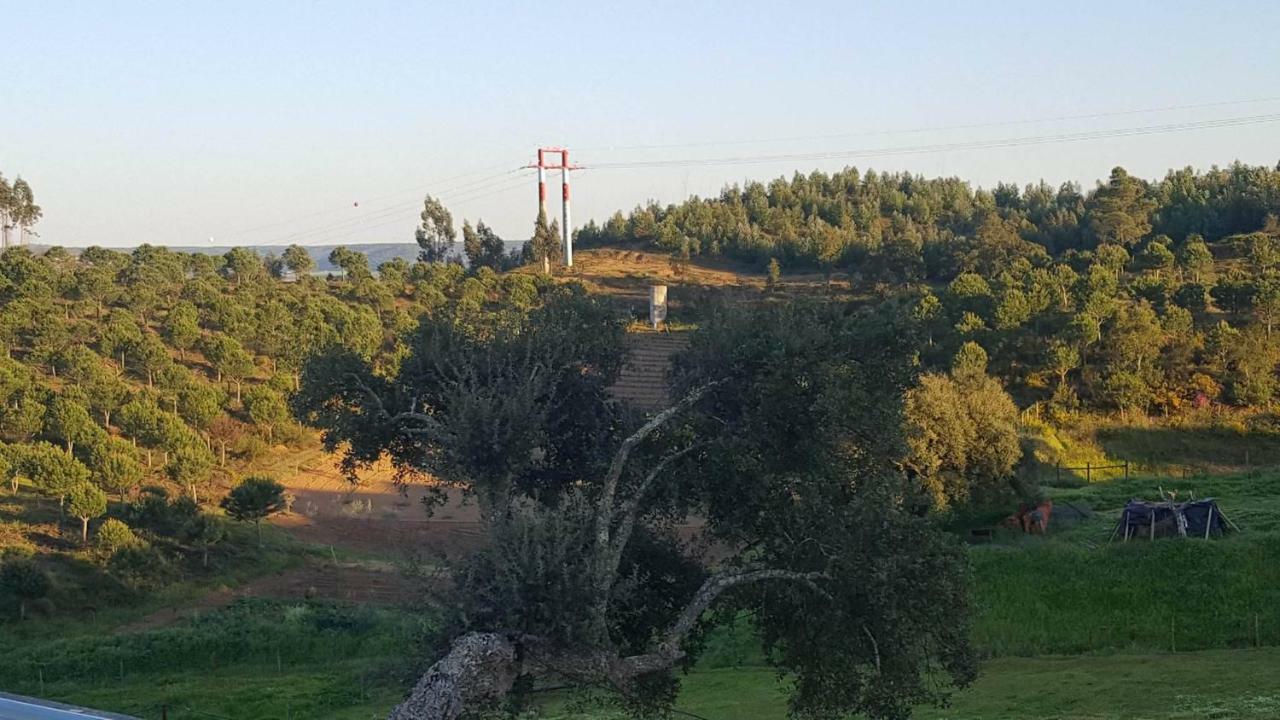 Quinta Do Caneiro - Casa Turismo Rural Constância Extérieur photo